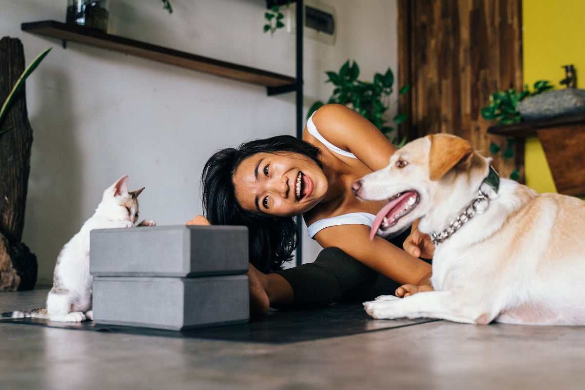 Two Personalities, One Happy Home: Living Beautifully With Cats and Dogs