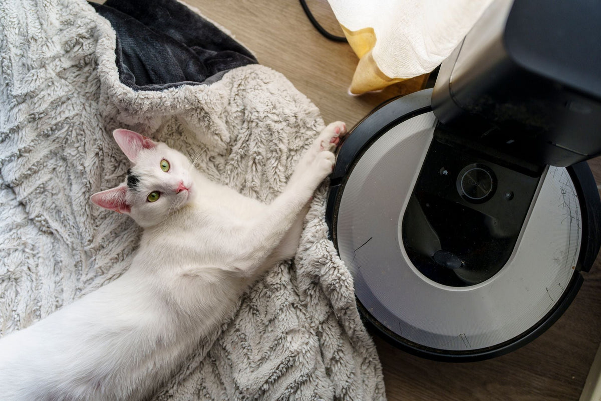 Beautiful Home, Happy Pets: Making Pet Hair Cleanup Effortless