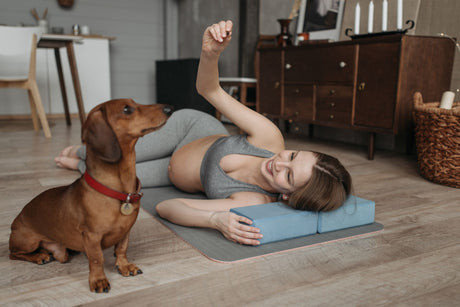 Small Spaces, Big Adventures: Keeping Dogs Happy and Active Indoors