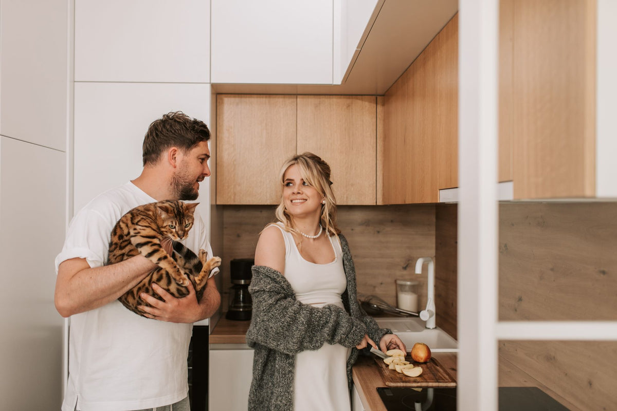 A Home Made for Love: Creating Beautiful Pet-Friendly Living Spaces