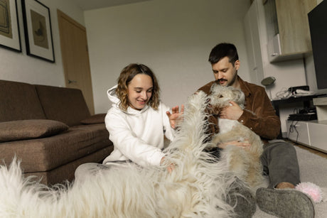 The Comfort They Deserve: Creating a Cozy and Restful Space for Your Dog