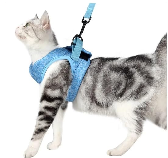 Adjustable Escape-Resistant Breathable Kitten Harness & Leash