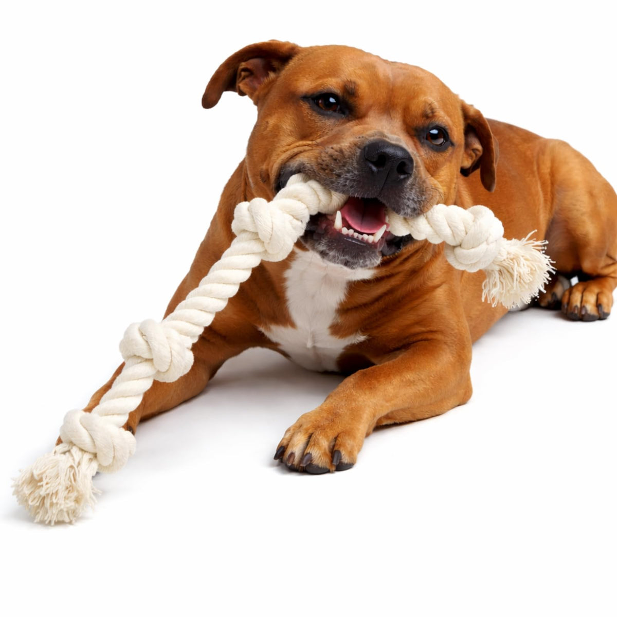 Leatherow 39-Inch 5-Knot Cotton Dog Tug & Chew Rope