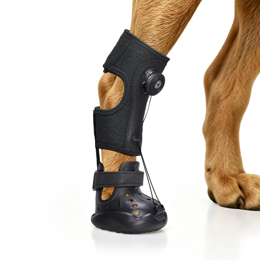Breathable Dog Boots & Paw Protectors for Hot Pavement