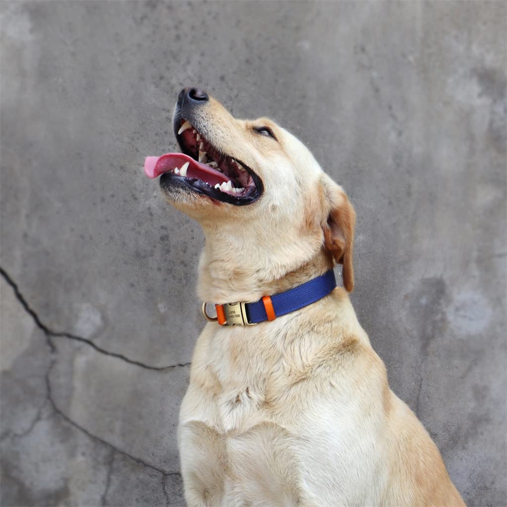 GQYMXQ Custom Nylon Large Dog Collar with Engraved Phone Number