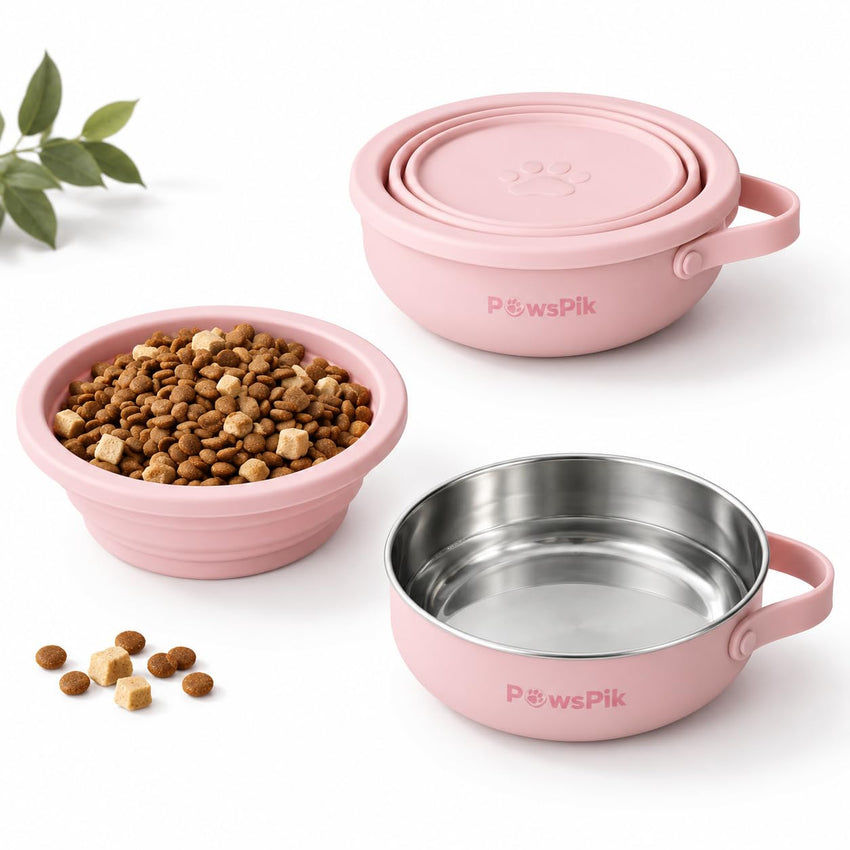Cherry Blossom Pink 2-in-1 Collapsible Silicone Pet Bowl