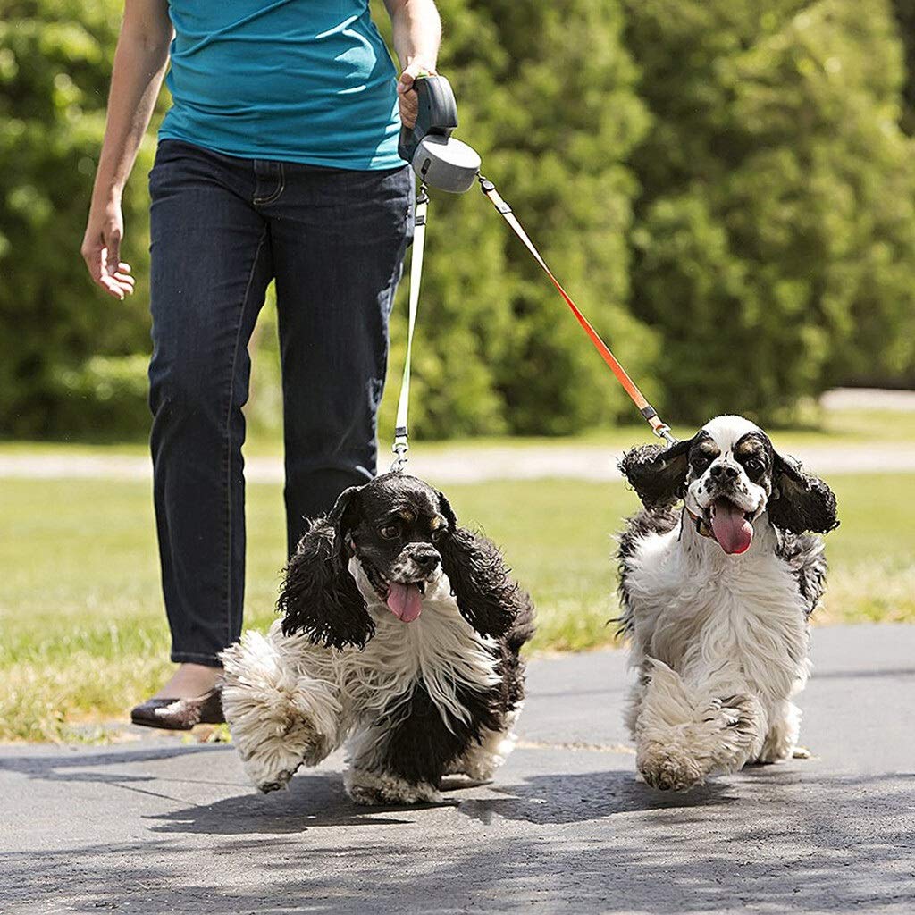 FRTHLK Dual-Head Retractable Leash for 2 Dogs, 50 lb Each