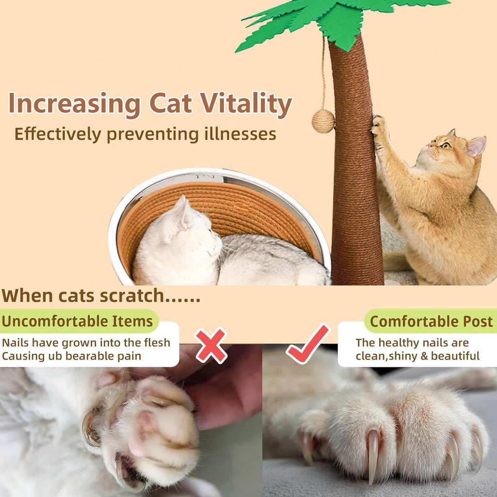 24-Inch 3-in-1 Palm Tree Cat Scratcher with Sisal & Cave Bed