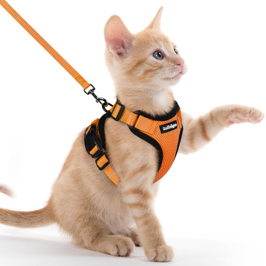 rabbitgoo Adjustable Cat Walking Harness & Lead Set