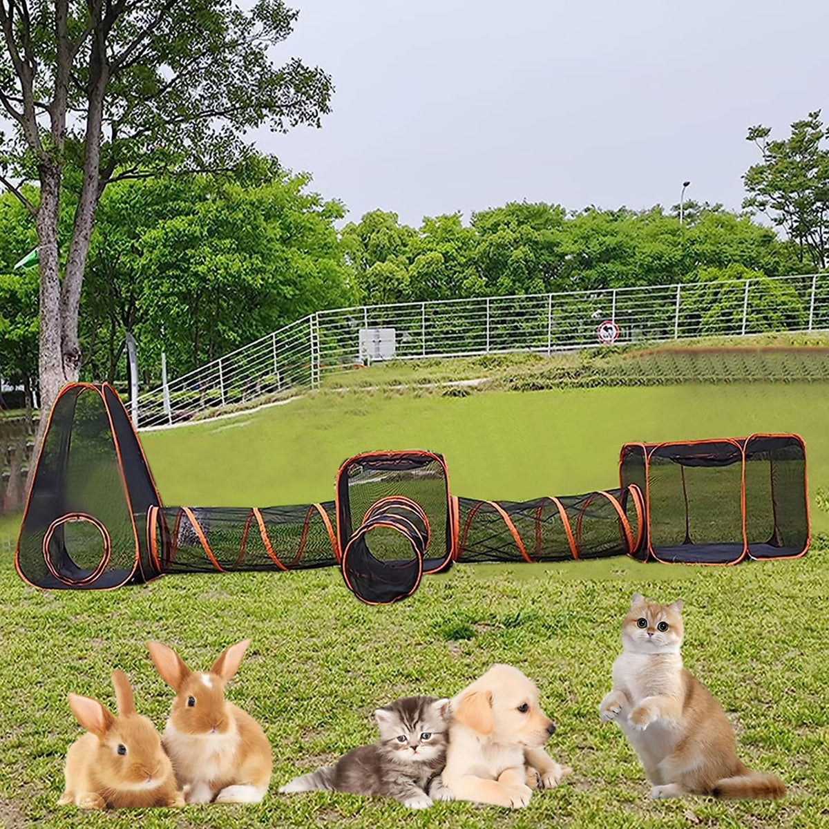 IMIDIA 6-in-1 Indoor/Outdoor Cat Tunnel & Play Tent