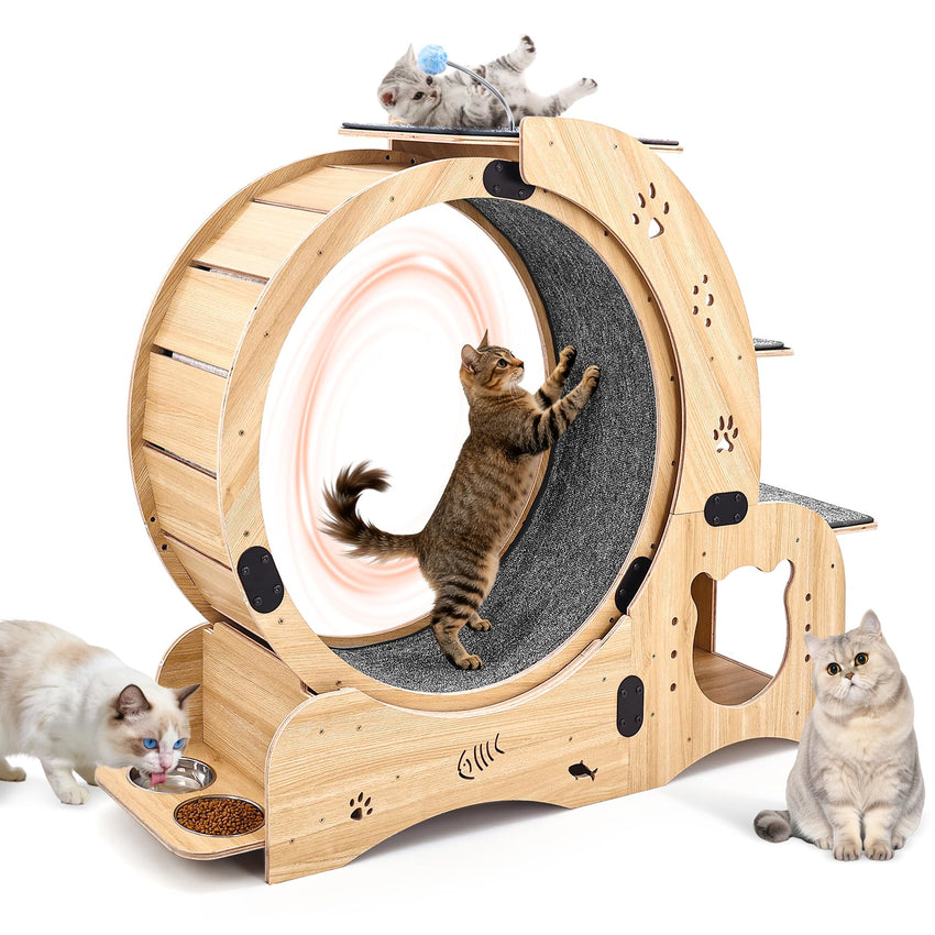 6-in-1 Cat Exercise Wheel with Tree, Cave & Scratcher