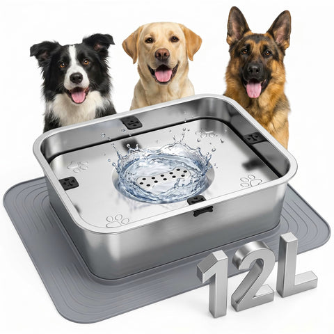 Bowls & Mealtime Accessories